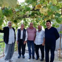 Yayla Yolu Seferberliği